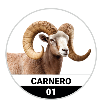 Animalitos del Oriente - Mascotas — 1 CARNERO