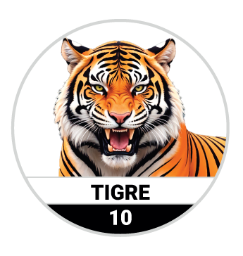 10 TIGRE