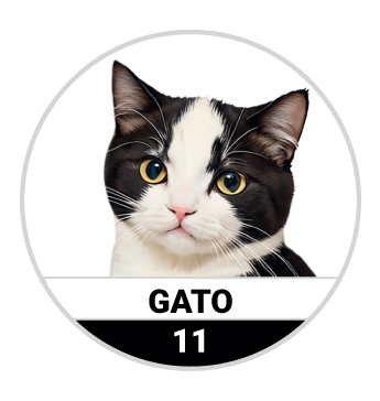 Animalitos del Oriente - Mascotas — 11 GATO
