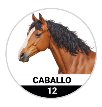 Animalitos del Oriente - Bichitos — 12 CABALLO