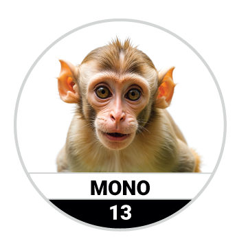 Animalitos del Oriente - Bichitos — 13 MONO