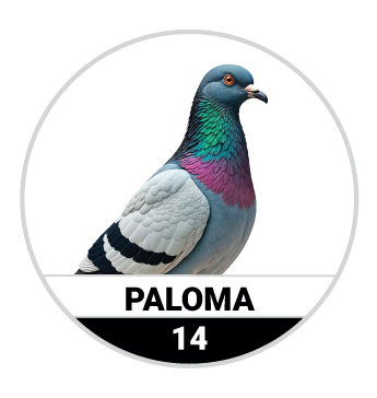 Animalitos del Oriente - Fieras — 14 PALOMA