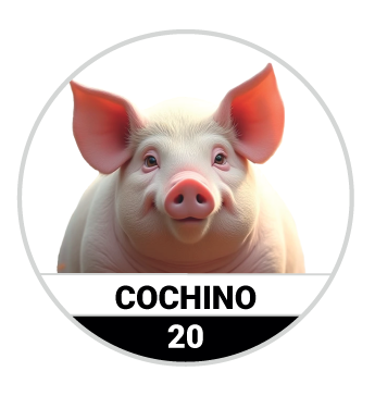 Animalitos del Oriente - Fieras — 20 COCHINO