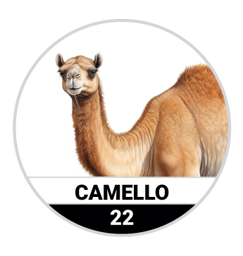 Animalitos del Oriente - Mascotas — 22 CAMELLO