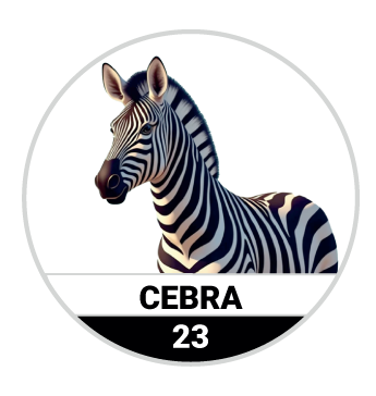 Animalitos del Oriente - Mascotas — 23 CEBRA