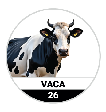 Animalitos del Oriente - Bichitos — 26 VACA