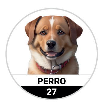 Animalitos del Oriente - Fieras — 27 PERRO