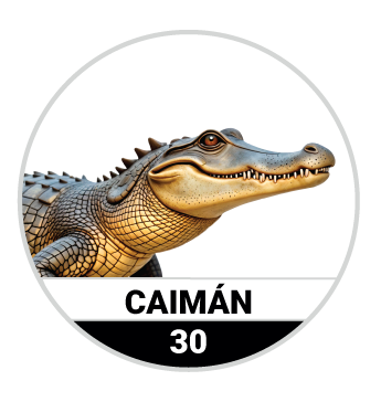 Animalitos del Oriente - Bichitos — 30 CAIMAN