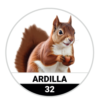Animalitos del Oriente - Mascotas — 32 ARDILLA