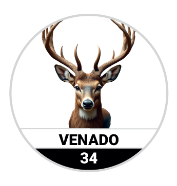 Animalitos del Oriente - Bichitos — 34 VENADO