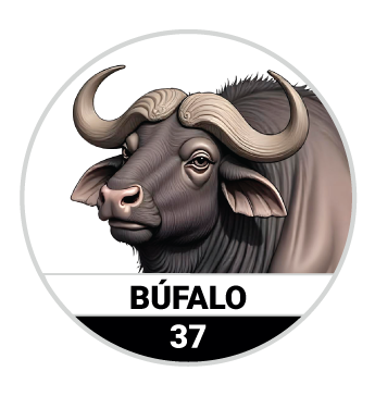 Animalitos del Oriente - Mascotas — 37 BUFALO