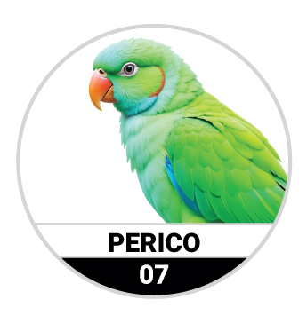 Animalitos del Oriente - Bichitos — 7 PERICO