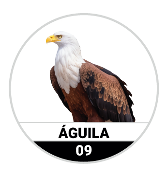 Animalitos del Oriente - Fieras — 9 AGUILA