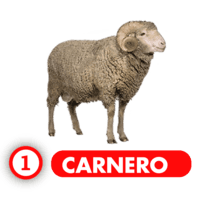 Chance Con Animalitos A — 1 CARNERO