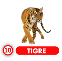 Chance Con Animalitos A — 10 TIGRE