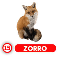 Chance Con Animalitos A — 15 ZORRO