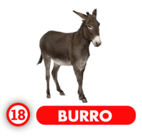 Chance Con Animalitos A — 18 BURRO