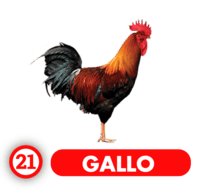 Chance Con Animalitos A — 21 GALLO