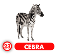 Chance Con Animalitos A — 23 CEBRA