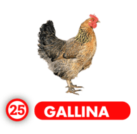 Chance Con Animalitos A — 25 GALLINA