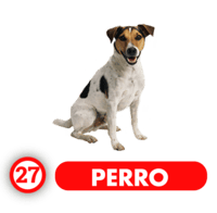 27 PERRO