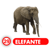 Chance Con Animalitos A — 29 ELEFANTE