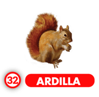 Chance Con Animalitos A — 32 ARDILLA