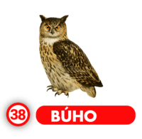 Chance Con Animalitos A — 38 BUHO