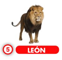 Chance Con Animalitos A — 5 LEON
