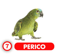 Chance Con Animalitos A — 7 PERICO