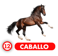 Chance Con Animalitos B — 12 CABALLO