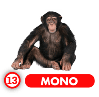 Chance Con Animalitos B — 13 MONO