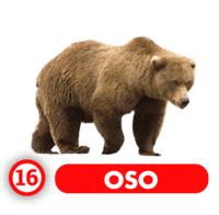 Chance Con Animalitos B — 16 OSO