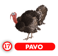 Chance Con Animalitos B — 17 PAVO