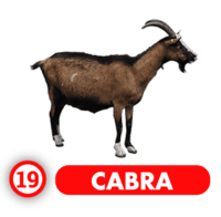 Chance Con Animalitos B — 19 CABRA