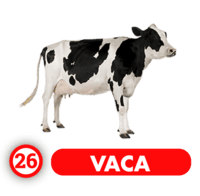 Chance Con Animalitos B — 26 VACA