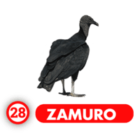 Chance Con Animalitos B — 28 ZAMURO