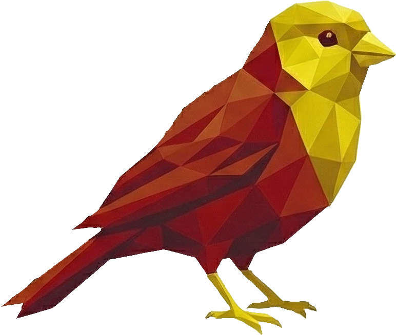 50 CANARIO
