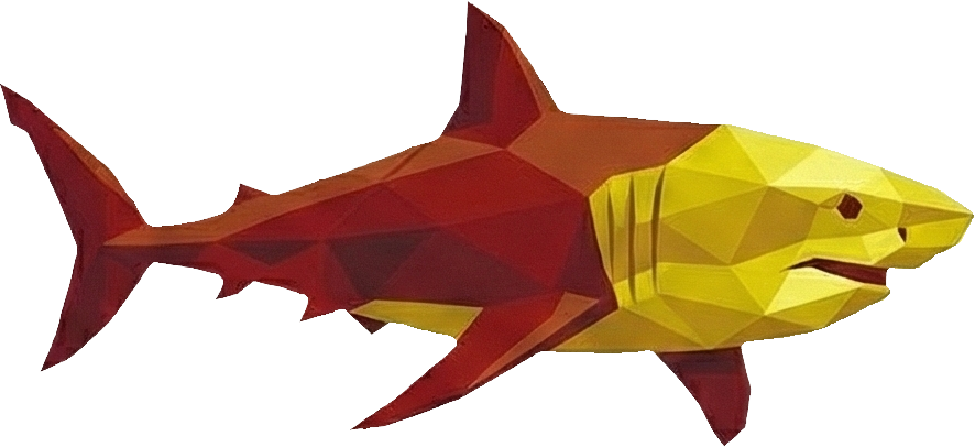 56 TIBURÓN