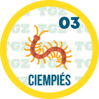 Gatazo — 3 CIENPIES