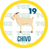 Gatazo — 19 CHIVO