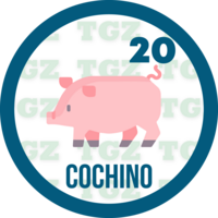 20 COCHINO