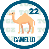 Gatazo — 22 CAMELLO