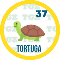 37 TORTUGA