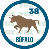 Gatazo — 38 BUFALO