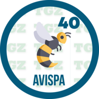 40 AVISPA