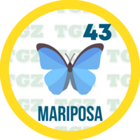 Gatazo — 43 MARIPOSA