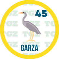 45 GARZA