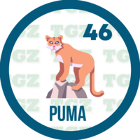 Gatazo — 46 PUMA
