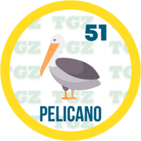 Gatazo — 51 PELICANO